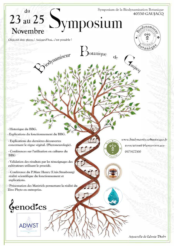 Affiche du Symposium de Gaujacq